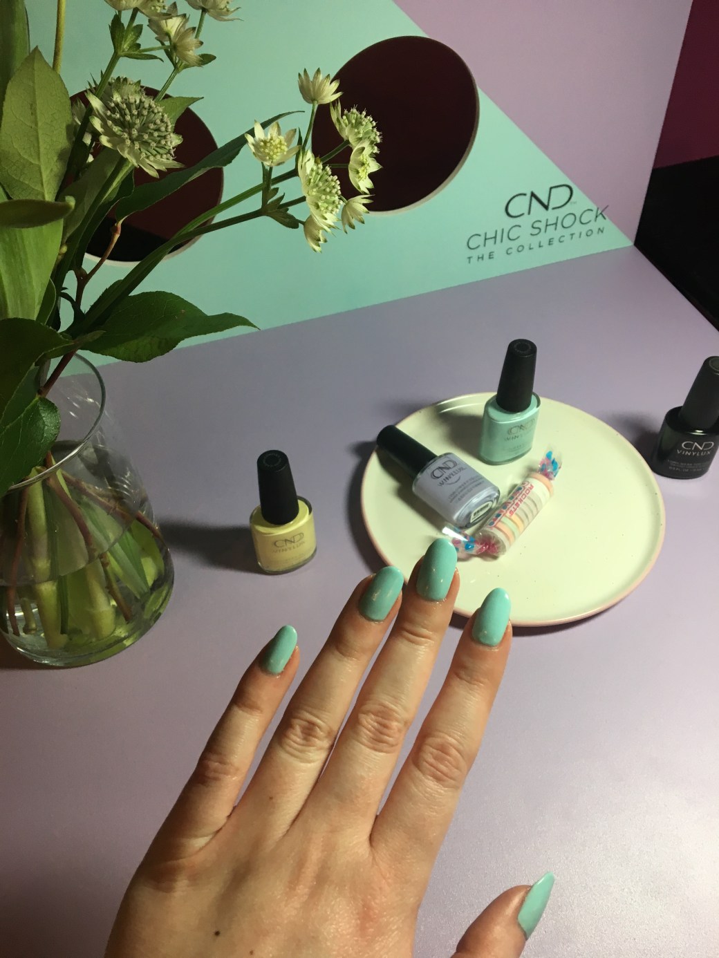 91F445B7-A9B0-4F51-A862-3989CB1E485E copy