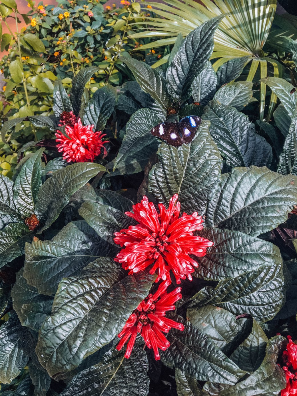 2B1D901A-EBD9-455B-8A71-7DBAE03F518C copy 2