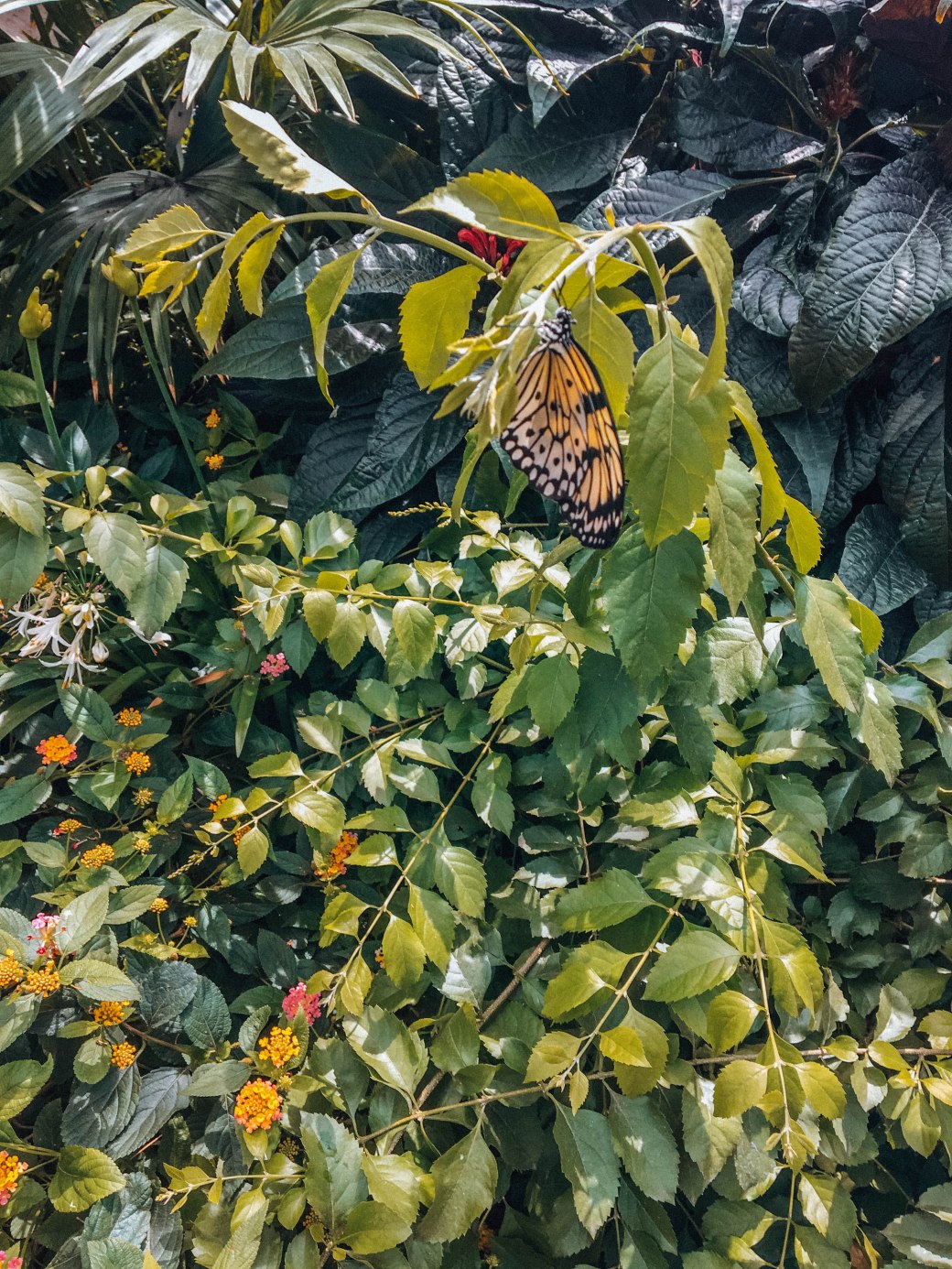 46B5FFB8-3D65-470B-BC42-29A0BA362A45 copy 2