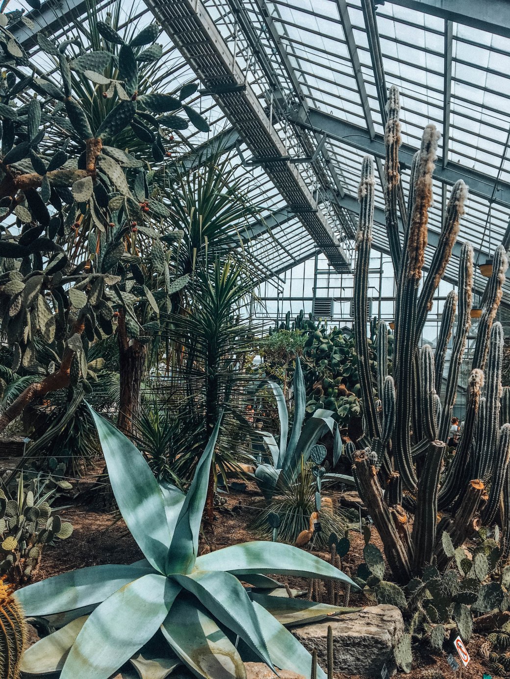 4B70934A-0EB0-458F-BC8F-050A5BC4CCA2 copy 2