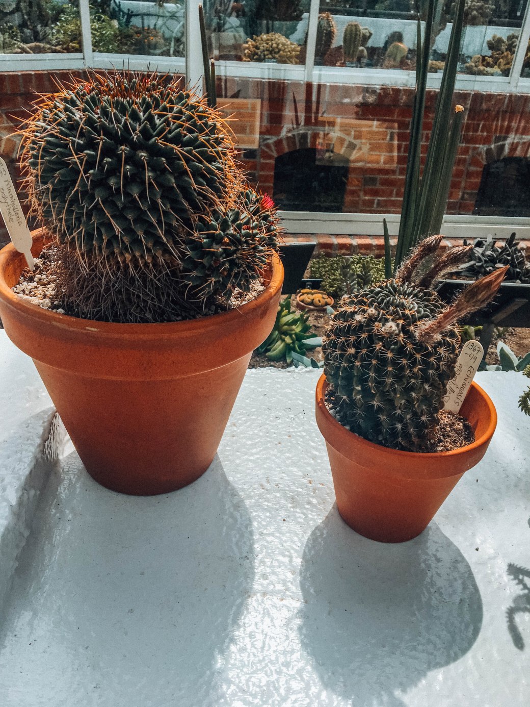 58DBD91A-4016-4B30-BF2B-0E3BB406BD3E copy 2