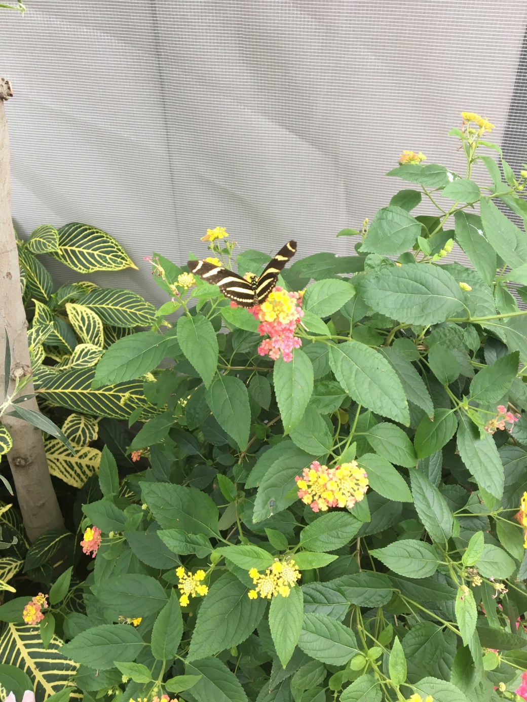 733BFE0A-147E-41C4-BE03-305FEB5D7B12 copy