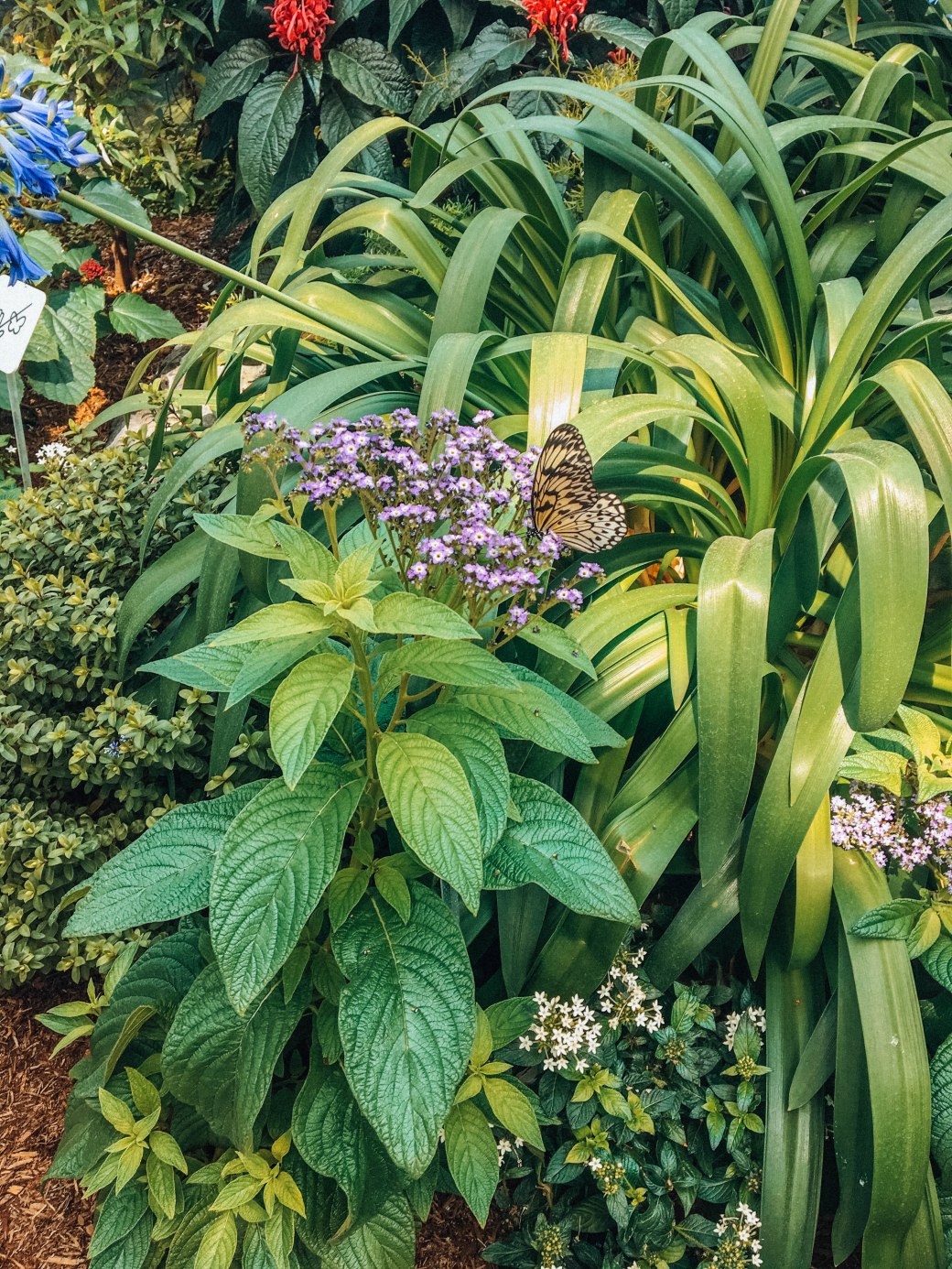 8B3F5DB9-4A69-437E-A2D8-33AA3F0B5B49 copy 2