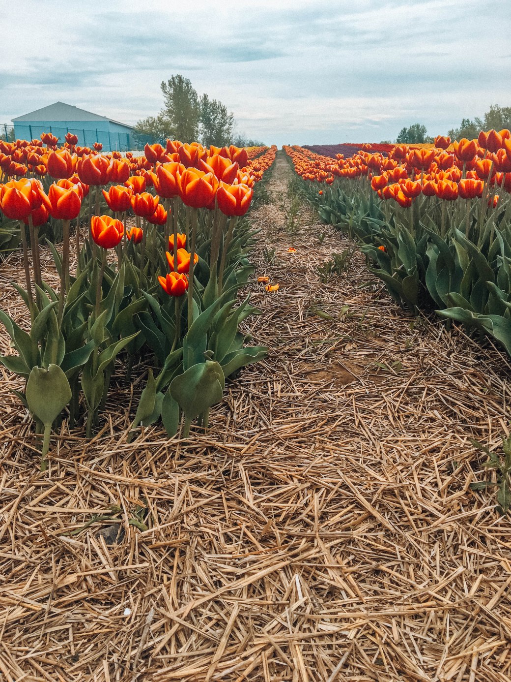 00244358-B333-48A5-9C0A-B264E04AC112 copy