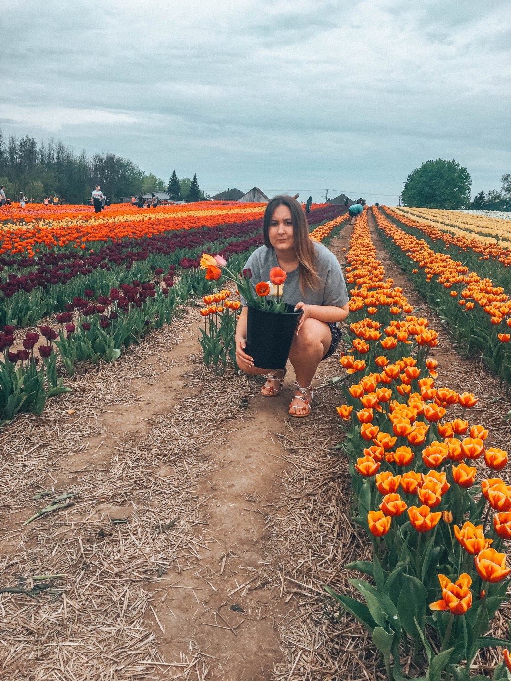 249934E6-4C0F-4E92-9CF8-1107EE1E1990 copy