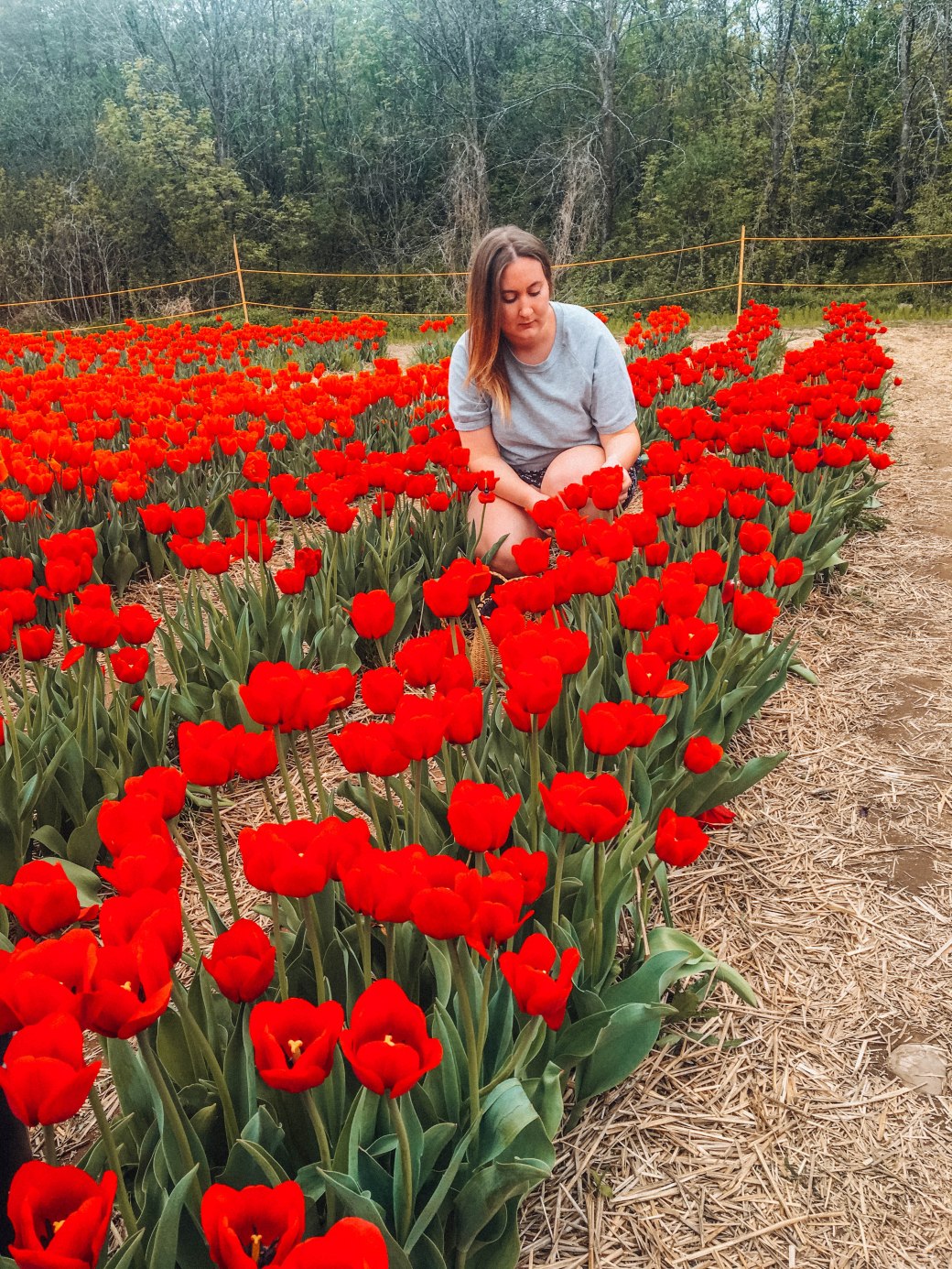 3E04F9E7-8FC3-4330-B431-A9E3AA89EB86 copy