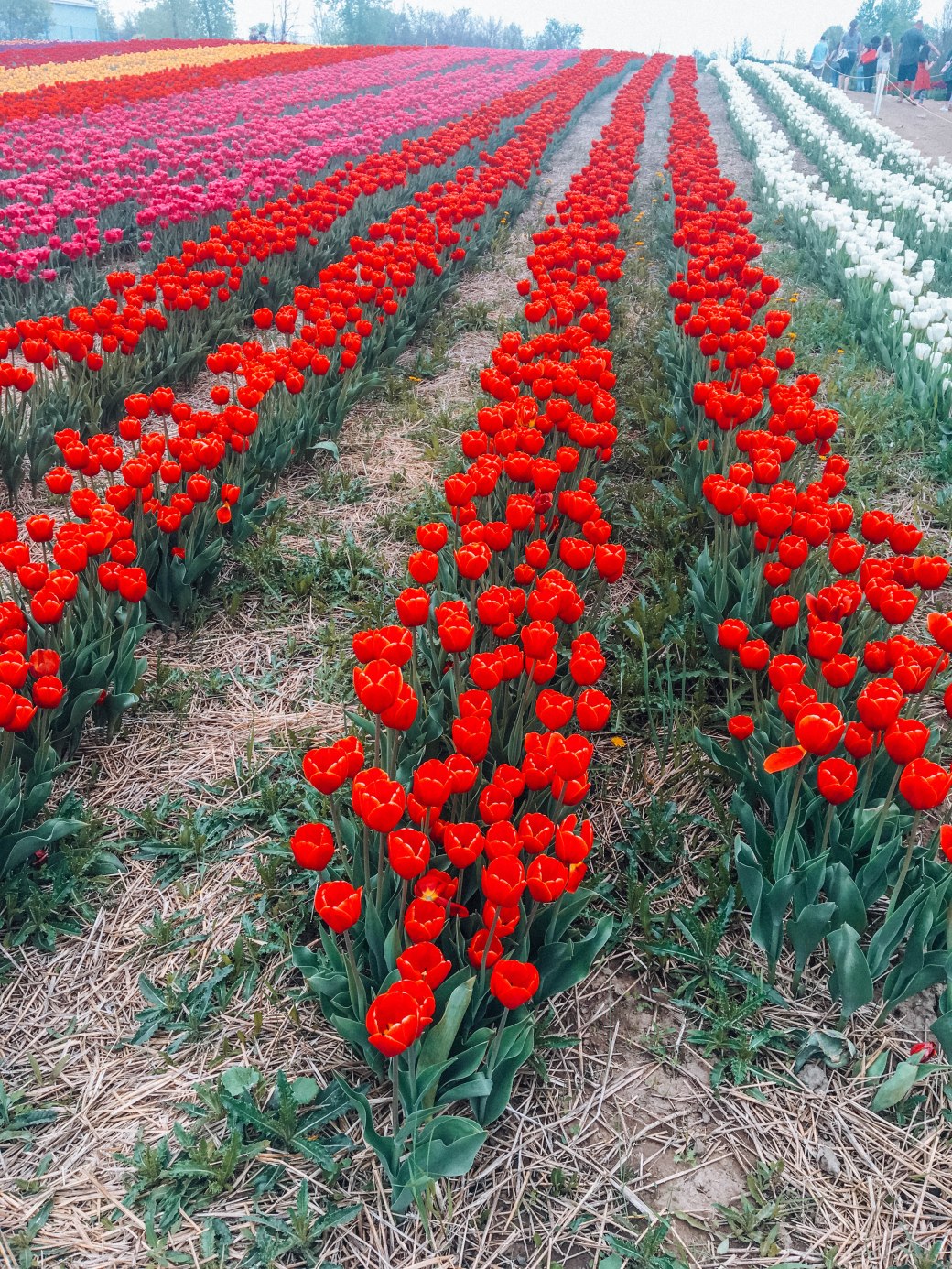 7206AE67-87D6-4FAE-9F36-8A45C0E0C706 copy