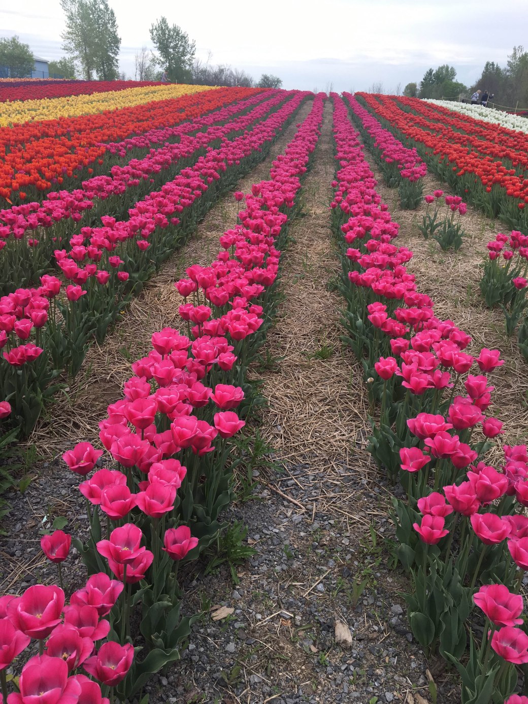 9229BF98-7571-41D2-958F-F6A30FF6E107 copy