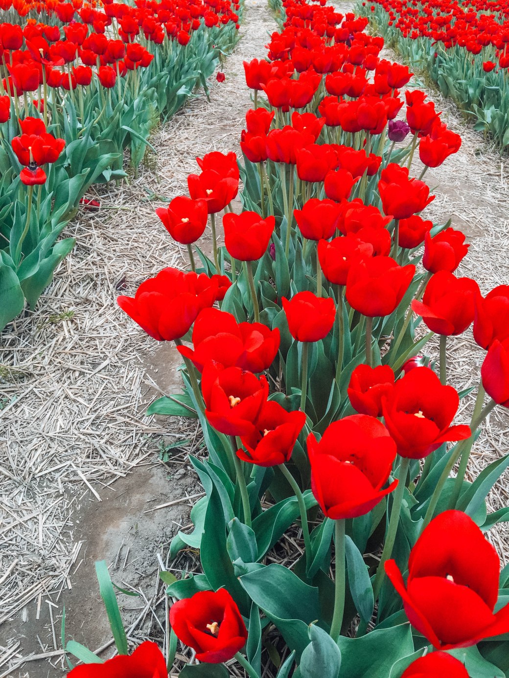 A3ACF32B-FB02-4FF9-9A03-79109F0FC66F copy