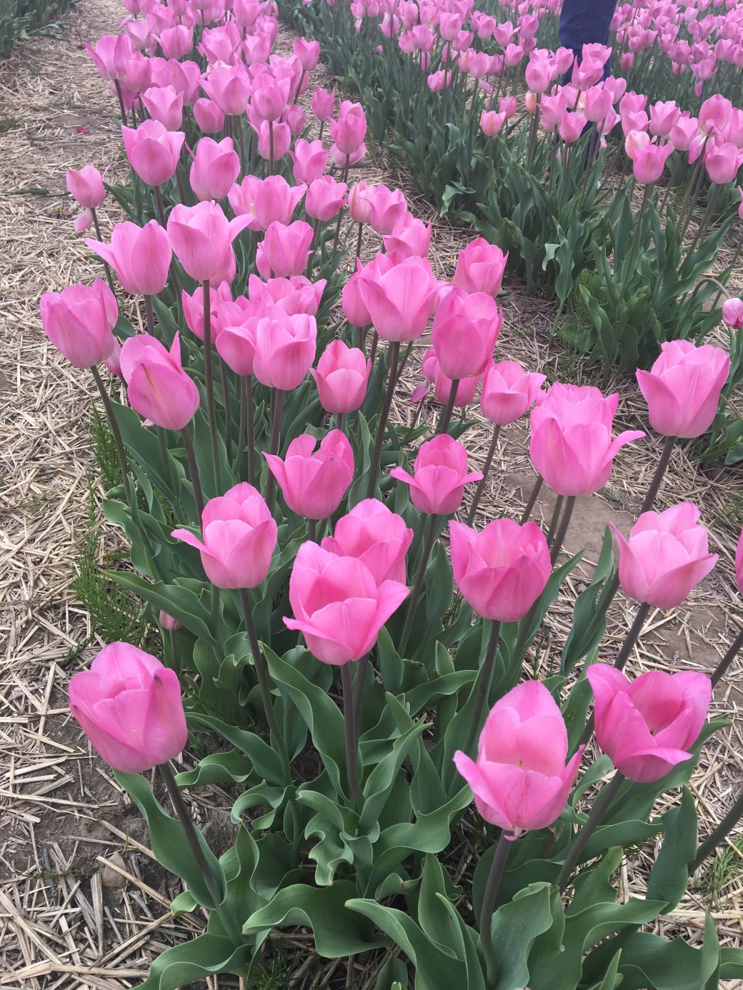 A50E4636-67F2-4355-8C27-BFEE76BC29CE copy