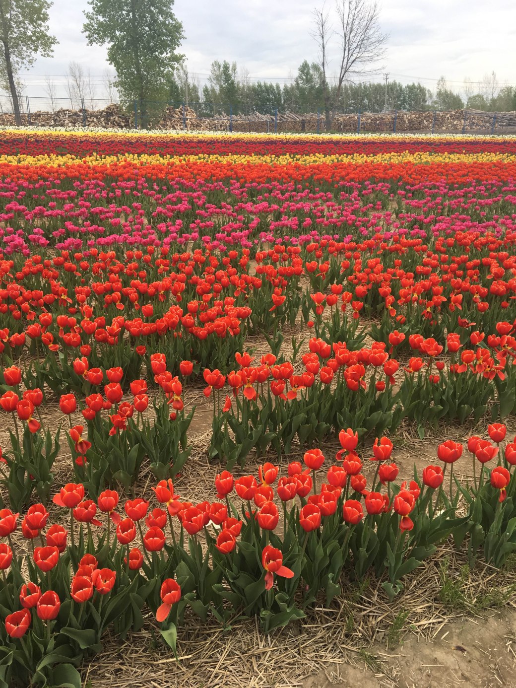 B5ECEE7C-01F0-4F50-8E0F-34C3004C347A copy