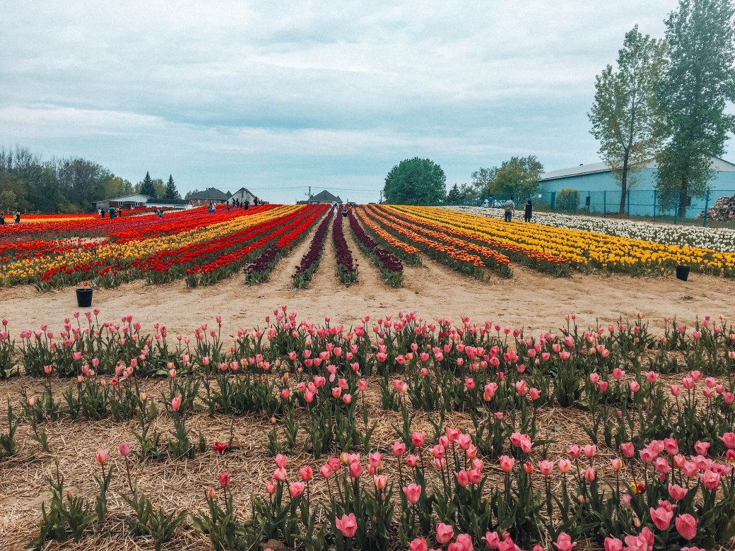 BB51E663-A7F0-48A0-9260-95D5F69749C7 copy