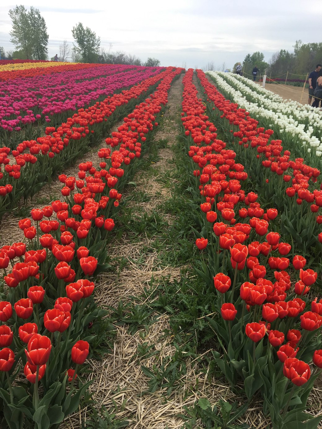 E359592B-4858-437E-BDAF-0295740496A2 copy